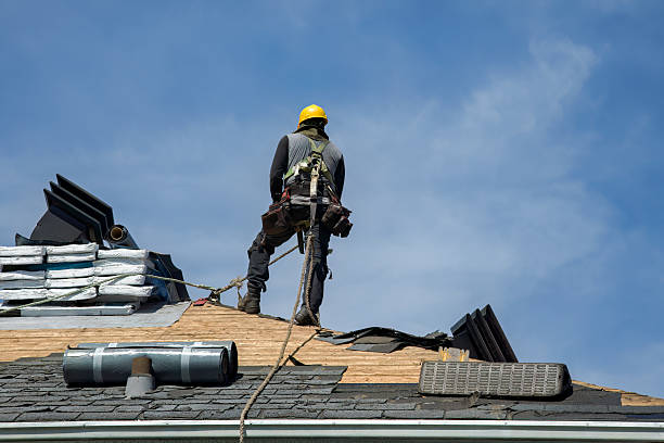 Professional Roof Replacement technician working in Coleman, MI